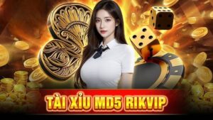 Tai xiu MD5